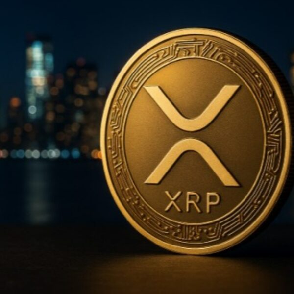 Ripple Krizi: Dava Gelirse XRP Fiyatı Çakılabilir mi?