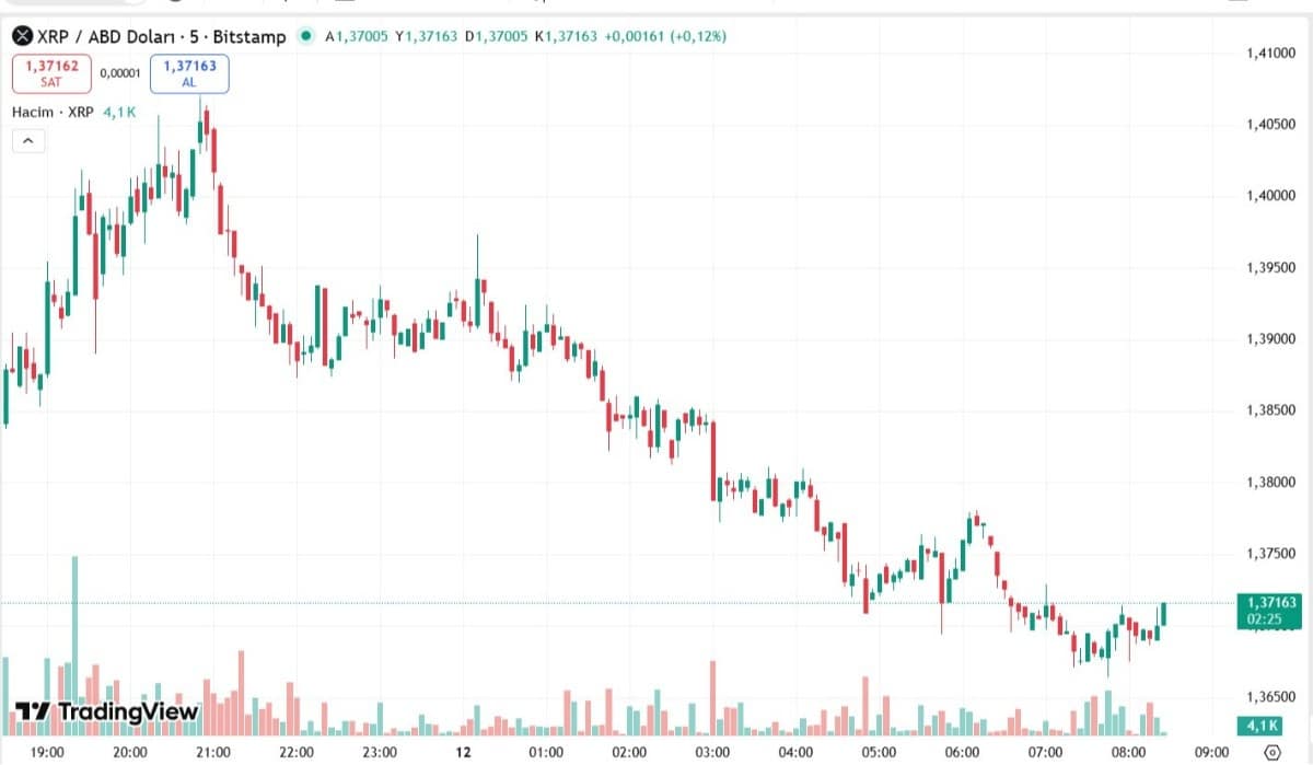 XRP İŞLEM GRAFİĞİ