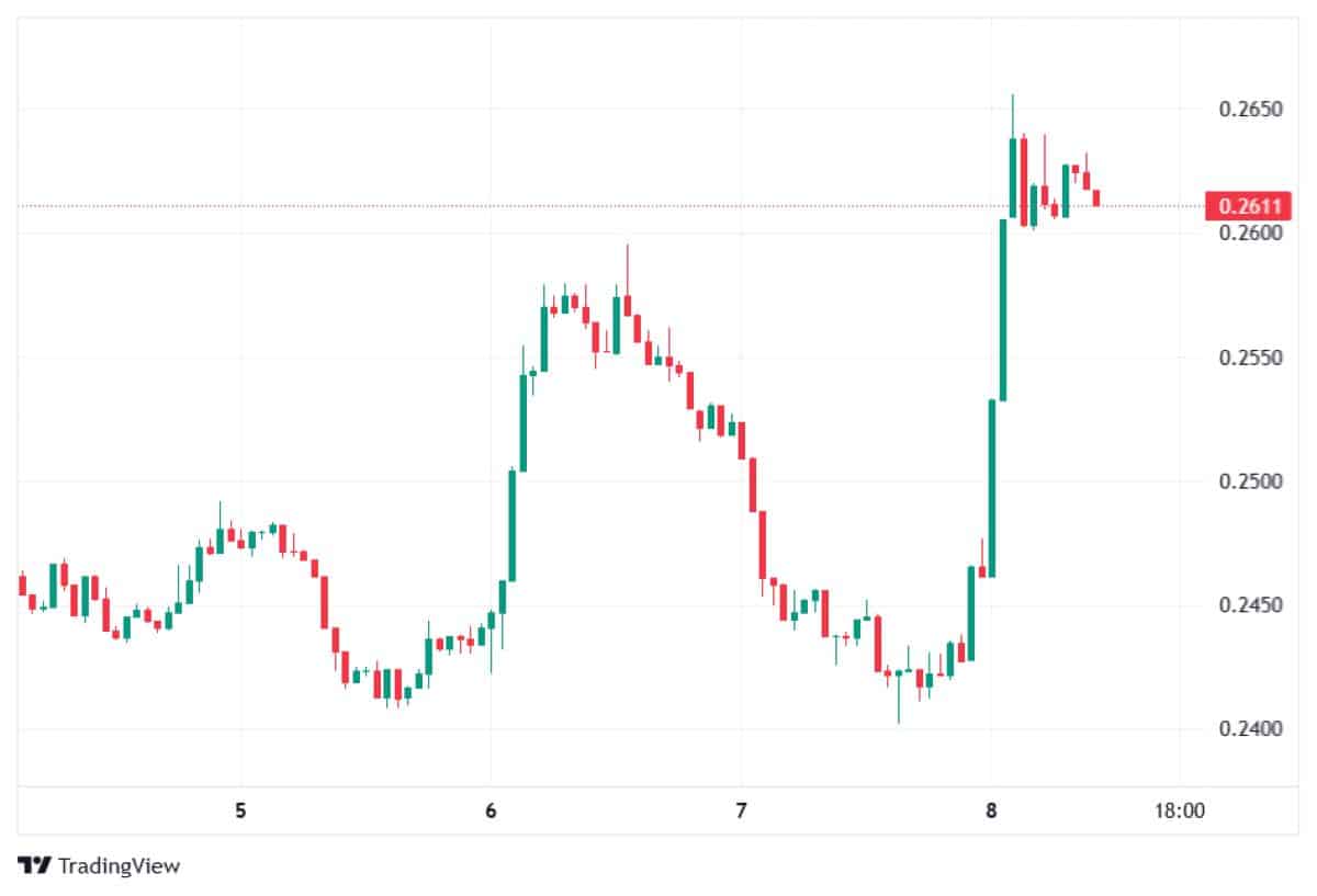 Cardano 8 Nisan 2026 fiyatı