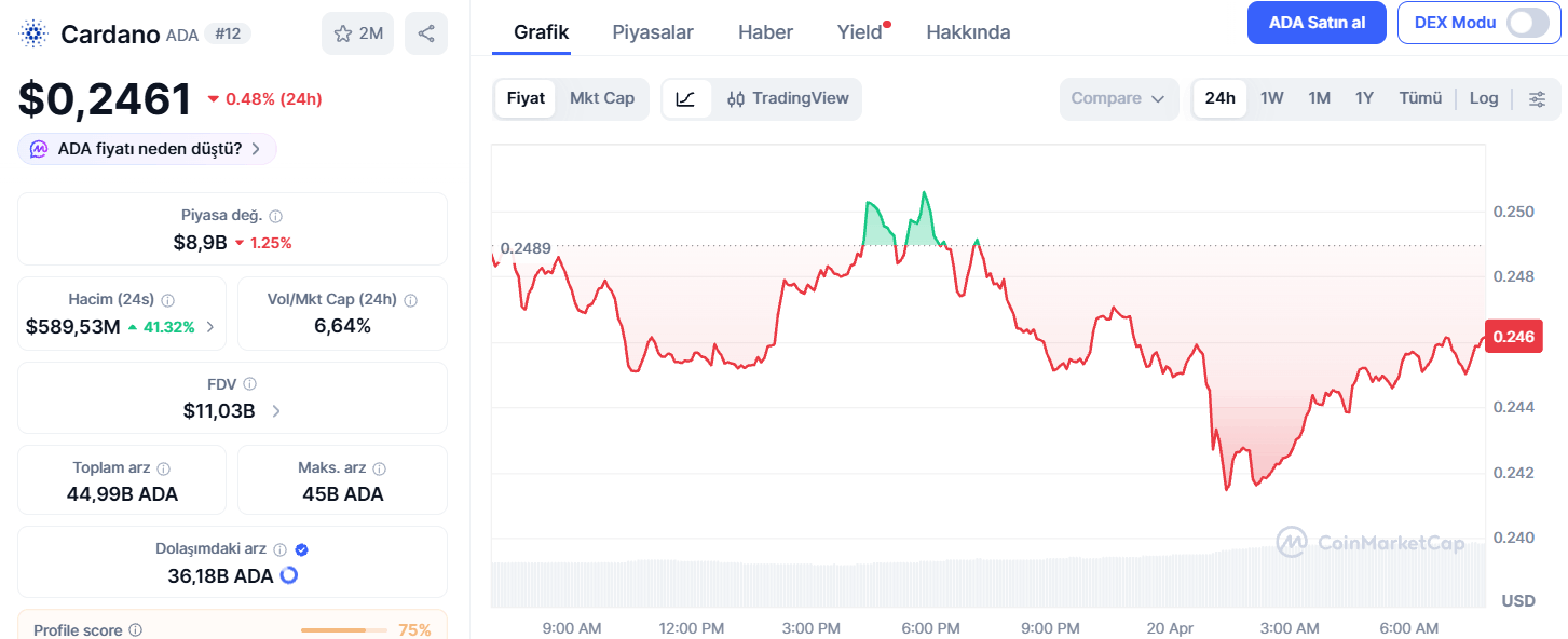 Cardano’nun Temelleri Güçlü