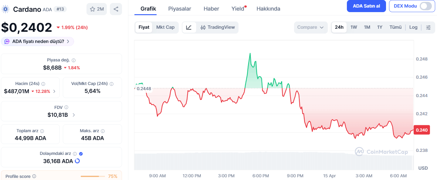 ADA Fiyatı Zirvenin %90 Altında
