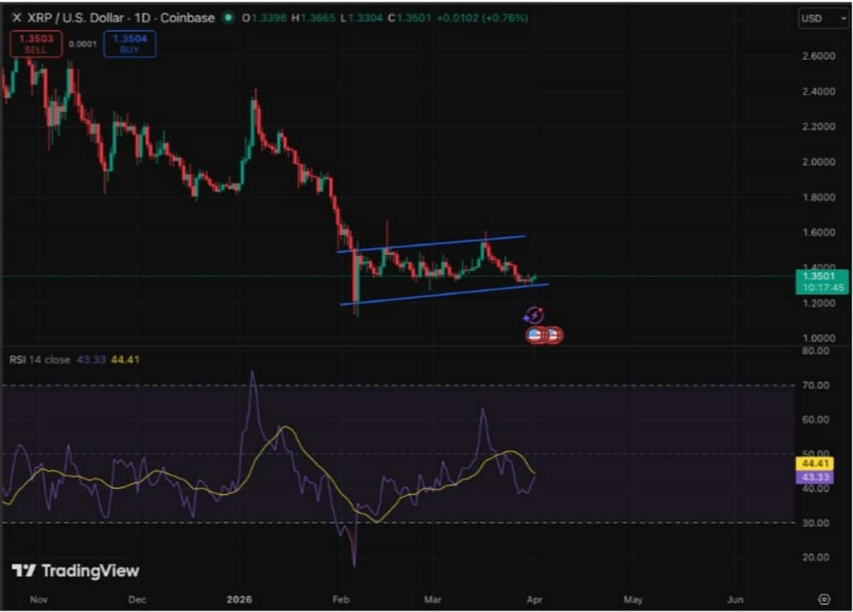 xrp işlem grafiği