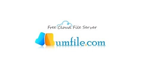 lumfile-1-year-premium-account