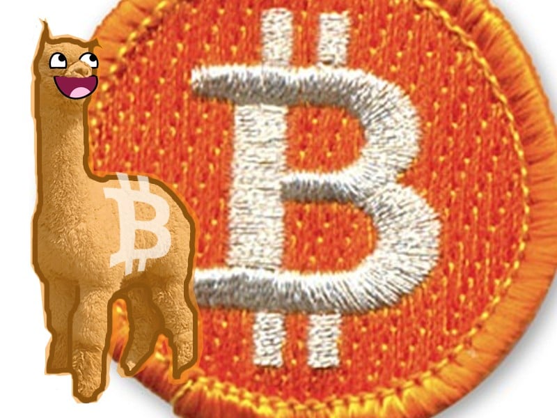 alpaca socks bitcoins