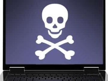 PayCoin and Josh Garza Crash Down