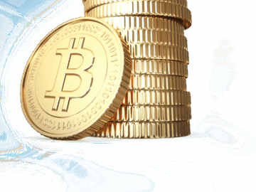 The Fundamentals of Dogecoin