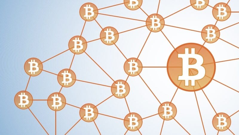 bitcoin financial network