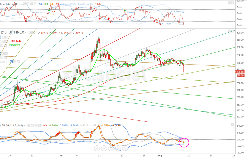 Weekly Bitcoin Price Analysis and Prediction #3