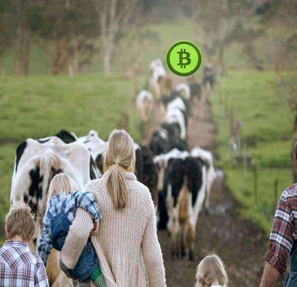 Farmers markets and Bitcoin: What’s cooking in the crypto-kitchen?