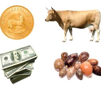 The History of Bitcoin