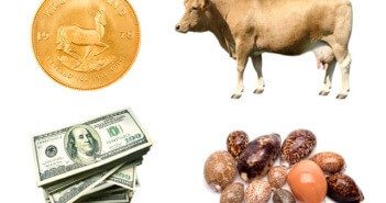 The History of Bitcoin