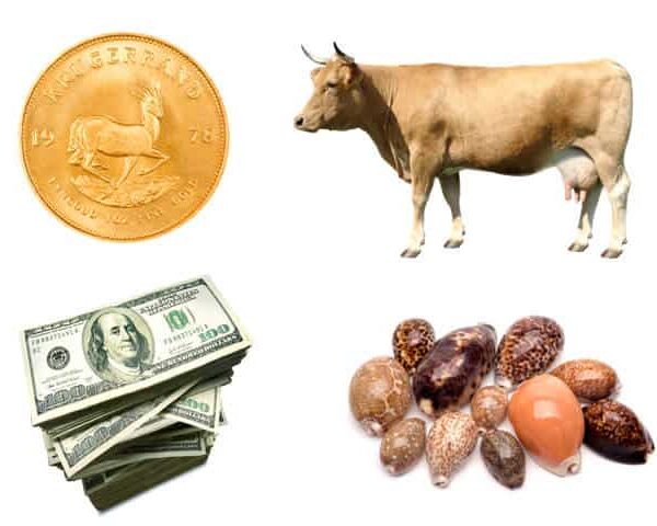 The History of Bitcoin