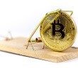 Earn bitcoins fast and easy