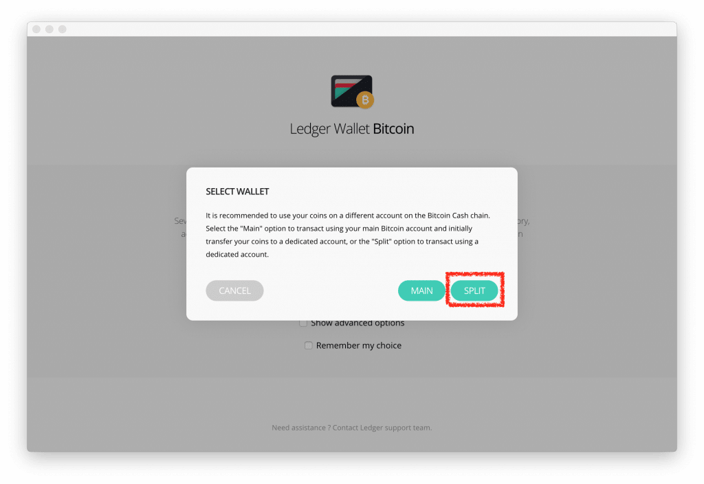 Split wallet Ledger