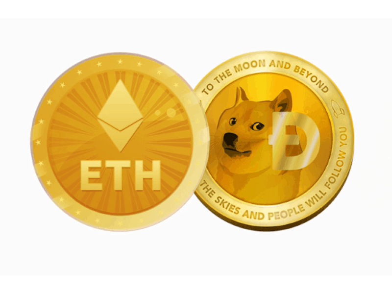 Dogecoin to the Moon and Back