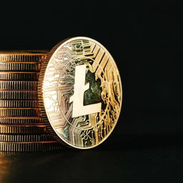 Is a Litecoin ETF About to Be Approved? LTC Price Prediction for July 2025