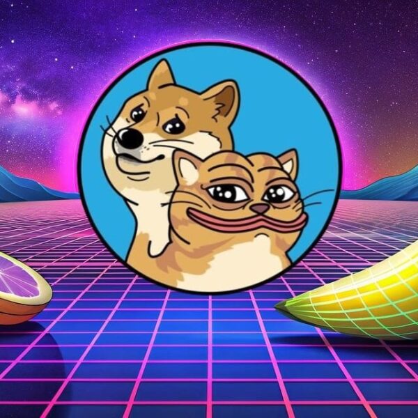 Newest Meme Coin DogWifCat (DWIFC) Explodes As Traders Scramble For Best Solana Meme Coin