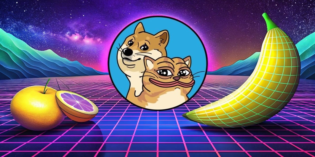 Newest Meme Coin DogWifCat DWIFC Explodes As Traders Scramble