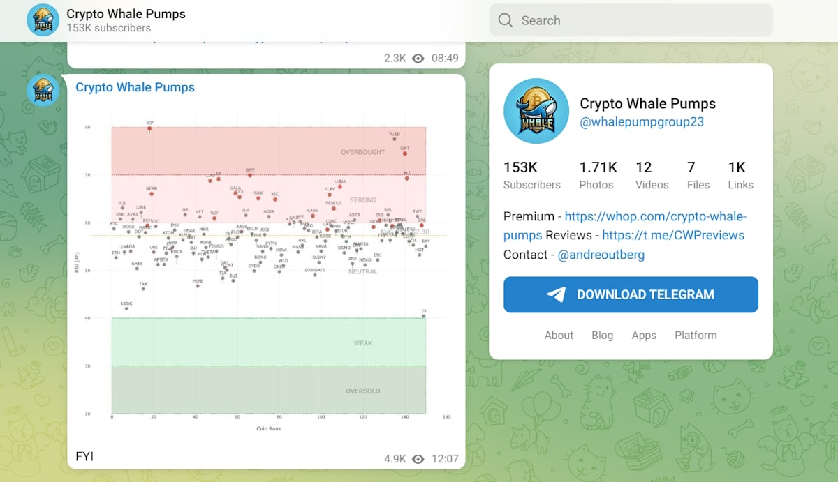crypto whale pumps telegram channel