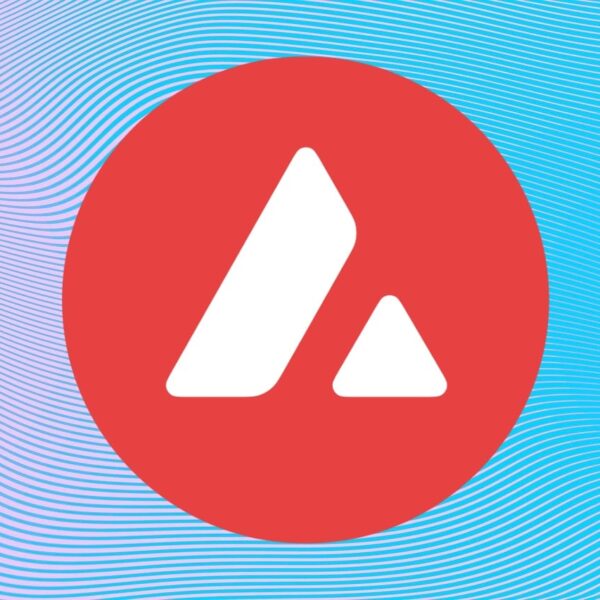 Avalanche (AVAX): The Dark Horse of 2024’s Crypto Race – Unpacking the AVAX Meme Coin Hype