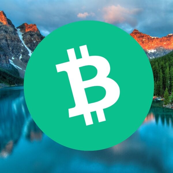 Gemini AI Predicts BCH After It Erased a 9.5% Drop in Two Days