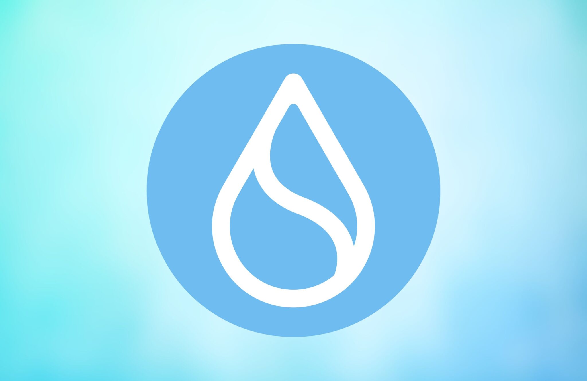 Project Risk Classification SUI Price Analysis: Could Sui Coin Become Next Solana Amid DePIN Growth ...