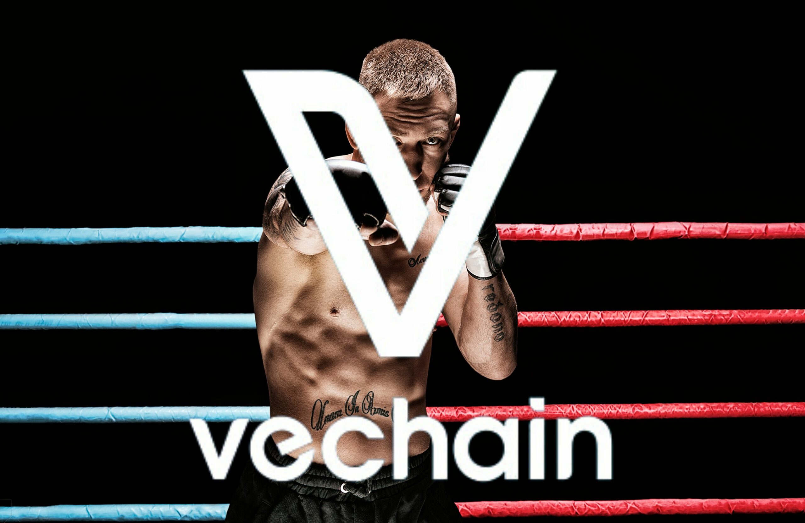 VET Price: VeChain's VeChainThor smart contract network verifies UFC glove authenticity to prevent fraud - could it be the best RWA token?