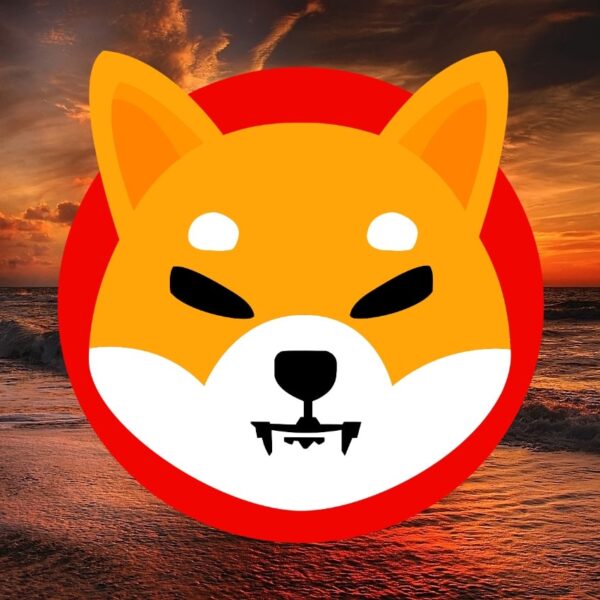 Shiba Inu Sheds Meme Coin Tag After $12M Raise To Fund a New Token & Layer 3 Blockchain