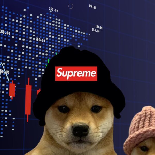 WIF Price Analysis: DogWifHat Explodes 25% Overnight And this Other Coin is Next