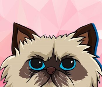 Mr Miggles – Coinbase Announces Their Own Meme Coin And Don’t Miss This Presale