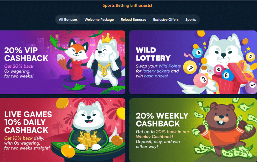 Wild.io Casino bonus offers divided into types and categories