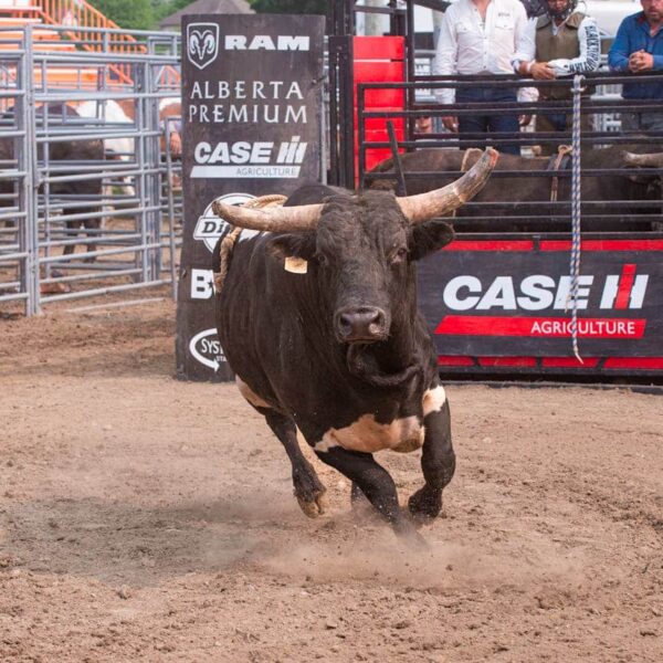 Is The Bitcoin and Crypto Bull Run Back? These 3 Altcoins Are Set to Rip in 2024 ORDI, 99BTC, STX