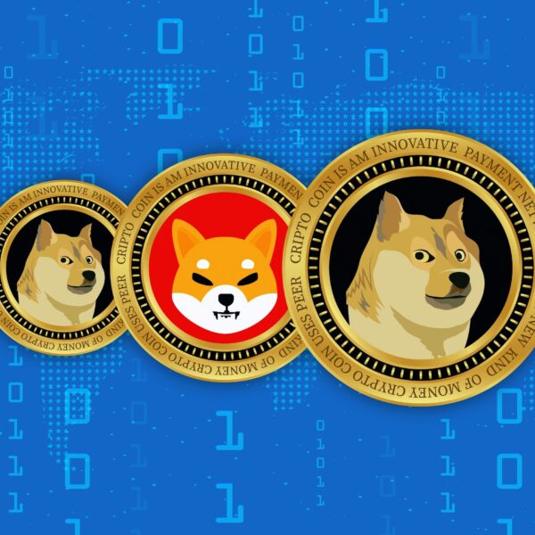 What are Meme Coins? Key Features and Risks Involved