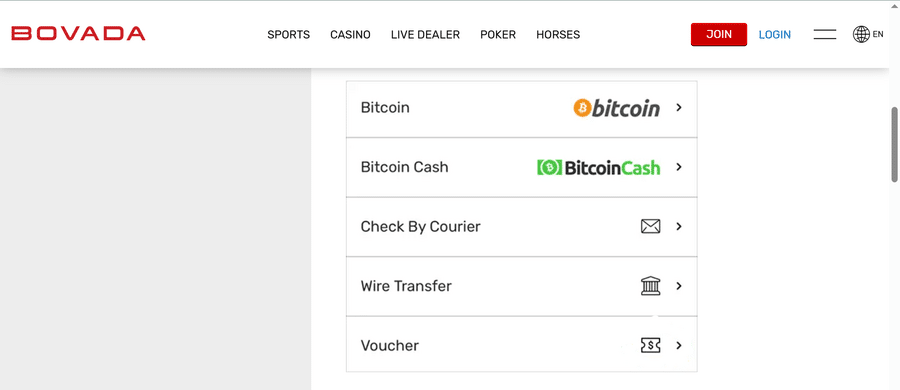 A list of available deposit methods catering to both fiat and crypto Bovada bettors.