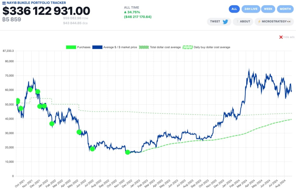 Bukele portfolio tracker