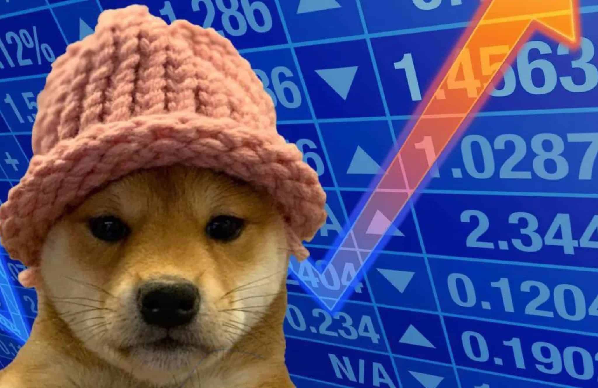 DogWifHat Defiant As WIF Price Defies Meme Market Dip