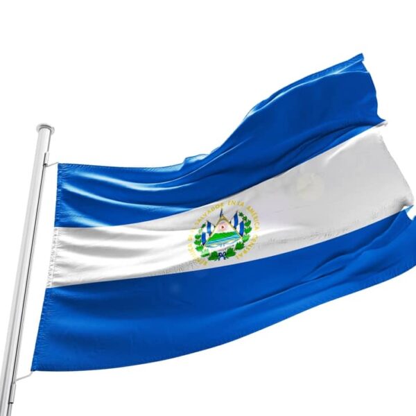 El Salvador Celebrates Bitcoin Milestone As President Bukele Highlights Millions In Gains