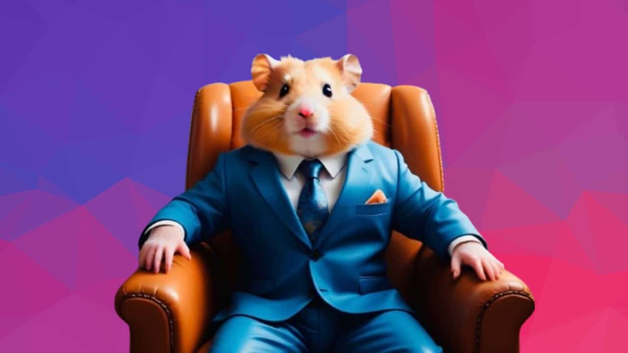 Hamster Kombat Airdrop Updates And Don’t Miss PlayDoge Presale