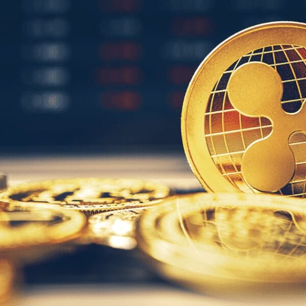 XRP Price Plummets 17% As Lawyer Warns Ripple Might Face Another Lawsuit