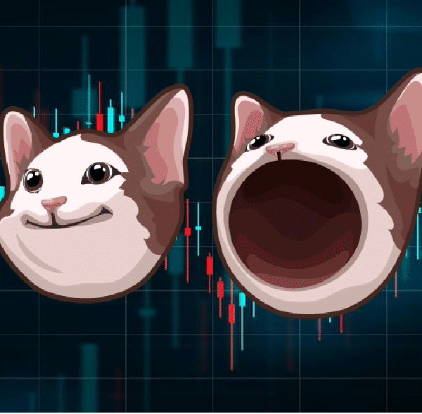 Popcat With A Huge Pump: Major Exchange Listing Incoming?
