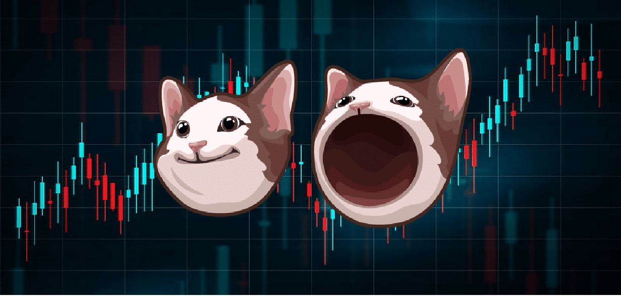 Popcat With A Huge Pump: Major Exchange Listing Incoming?