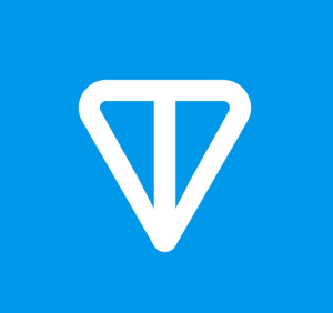 Toncoin Logo