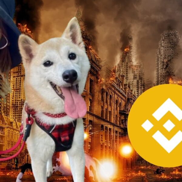 Latest Neiro Meme Coin News: Insider Trading Confirmed, Binance Distances