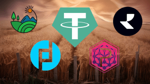 Tether is investing in land and real estate. These are the top three best RWA assets crypto investors can consider in September 2024.