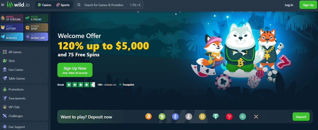 Wild.io Casino Homepage