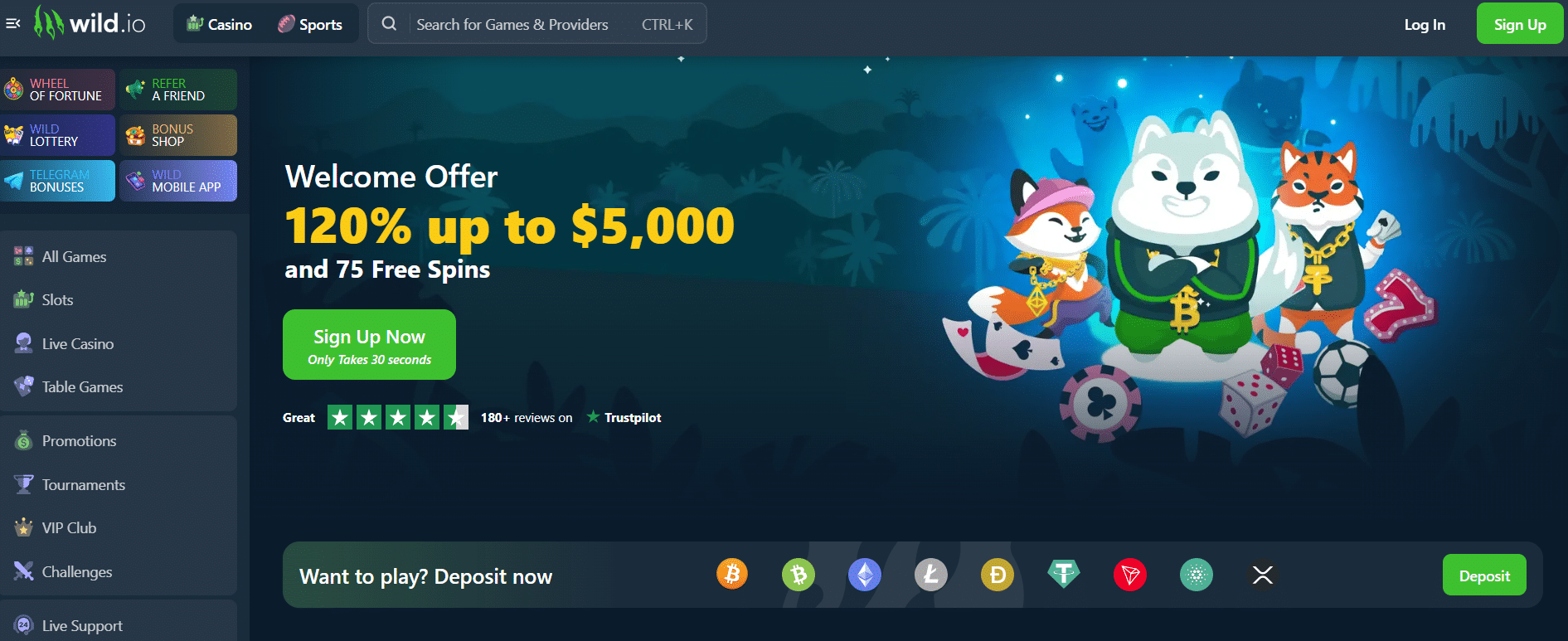 The Future Of How to Start Your Own Crypto Casino