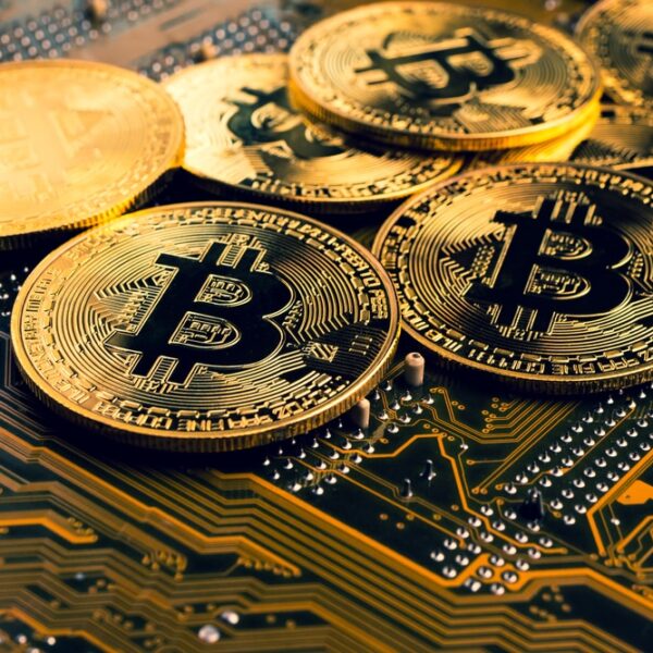How Many People Own and Use Bitcoin in 2026?