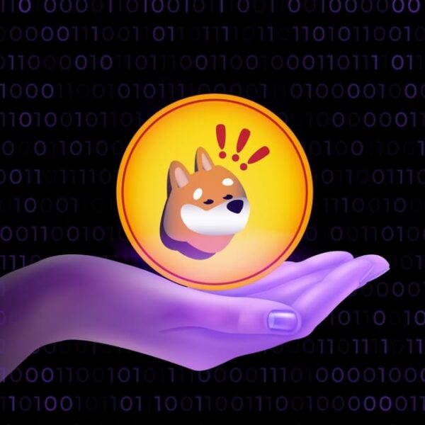 What is Bonk? Bonk Review & Beginner’s Guide