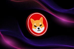 Beginner's Guide to What is Shiba Inu