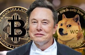 Elon Musk is a nutbag; we all know it (but love it for him anyway). But Elon Musk's crypto tweets, particularly about Bitcoin and Dogecoin...